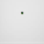 Laura Rokas, Don’t Make Me Beg, 2024
