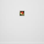 Laura Rokas, Don’t Make Me Beg, 2024