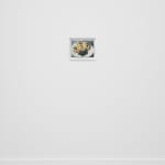 Laura Rokas, Don’t Make Me Beg, 2024