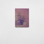 Andy Mister, Violet Arrangement, 2024