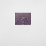 Andy Mister, Violet Arrangement, 2024