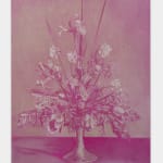 Andy Mister, Violet Arrangement, 2024
