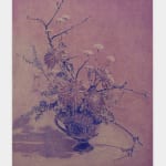Andy Mister, Violet Arrangement, 2024