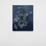 Andy Mister, Violet Arrangement, 2024