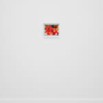 Laura Rokas, Don’t Make Me Beg, 2024