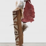 Esteban Ramón Pérez, Supertouch (Rana), 2020