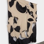 Esteban Ramón Pérez, Supertouch (Rana), 2020