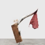 Esteban Ramón Pérez, Supertouch (Rana), 2020