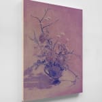 Andy Mister, Violet Arrangement, 2024