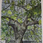 Sophie Charalambous watercolour of fig tree in front of fence