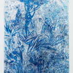 Sophie Charalambous monotype drawing on paper of plants