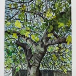 Sophie Charalambous watercolour of fig tree in front of fence