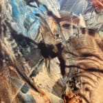 Thumbnail of additional image