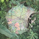 Jihye Park, Catch Me If You Can 2, 2026