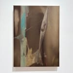 Edward Jones, Dipper, 2025