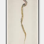 Simryn GILL, Weeds Suite 2, 2020/2021