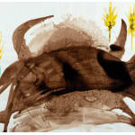 Bertina LOPES, Totem, 1983