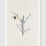 Simryn GILL, Weeds Suite 2, 2020/2021