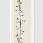 Simryn GILL, Weeds Suite 2, 2020/2021