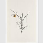 Simryn GILL, Weeds Suite 2, 2020/2021
