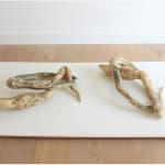 Jacqueline PONCELET, Gaudi Welsh 07, 2016