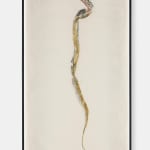 Simryn GILL, Weeds Suite 2, 2020/2021