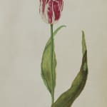 Rob and Nick Carter, Black Tulip, 2012