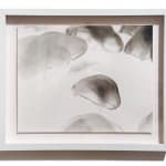 Ashley Oubre, Untitled-Jellies 5, 2019