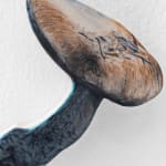Marius Steiger, Mushroom, 2024