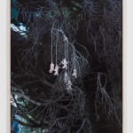 Yves Scherer, Goodnight Moon, 2024