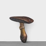 Yves Scherer, Goodnight Moon, 2024