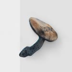 Marius Steiger, Mushroom, 2024