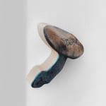 Marius Steiger, Mushroom, 2024