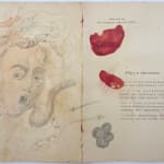 Amina Benbouchta, Untitled, 2025