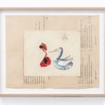 Amina Benbouchta, Coronelle Lisse (Smooth Snake), 2025