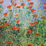 David Drum, Poppies in Spring Shower, 2024