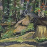 John Angus Palmer, Old Woman Bay, Lake Superior , 1978