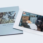 Rinko Kawauchi, Untitled, [looking into a glass] From the series "Murmuration", 2010