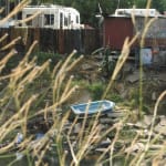 Rinko Kawauchi, Untitled, [looking into a glass] From the series "Murmuration", 2010