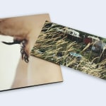 Rinko Kawauchi, Untitled, [looking into a glass] From the series "Murmuration", 2010