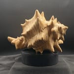 Doug Cocker RSA, Little Monuments 7, 2025