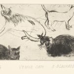 Elizabeth Blackadder RSA, Black Cat, 1982