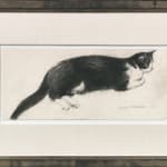 Elizabeth Blackadder RSA, Black Cat, 1982