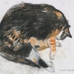 Elizabeth Blackadder RSA, Black Cat, 1982
