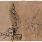 Gosia Walton, I want to be a tree 17, 2025
