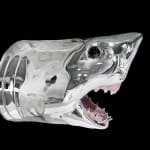 Natalia Kapchuk, The Lost Animals Series: From Great to Gone, 2023