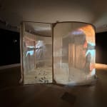 Charlotte Maishman and Guendalina Rota, Echoes of Time, 2024