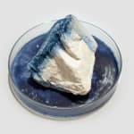 Anne Bevan RSA (Elect) + Mark Edmonds, all manner of singular forms (Erratic 9), 2024