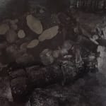 Gosia Walton, I want to be a tree 17, 2025