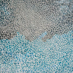 Samantha Clark, Wave Cloud Breath, 2024
